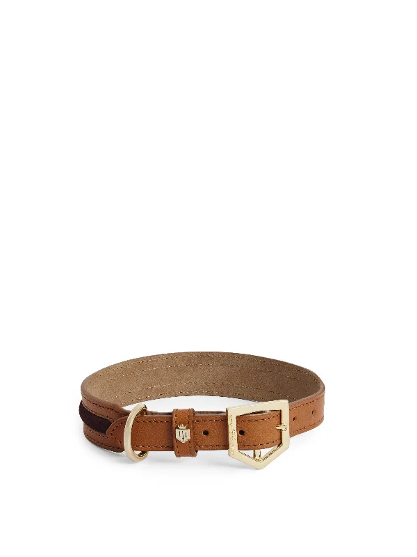 Celebrity Style Hampton Dog Collar - Tan Leather & Plum Suede