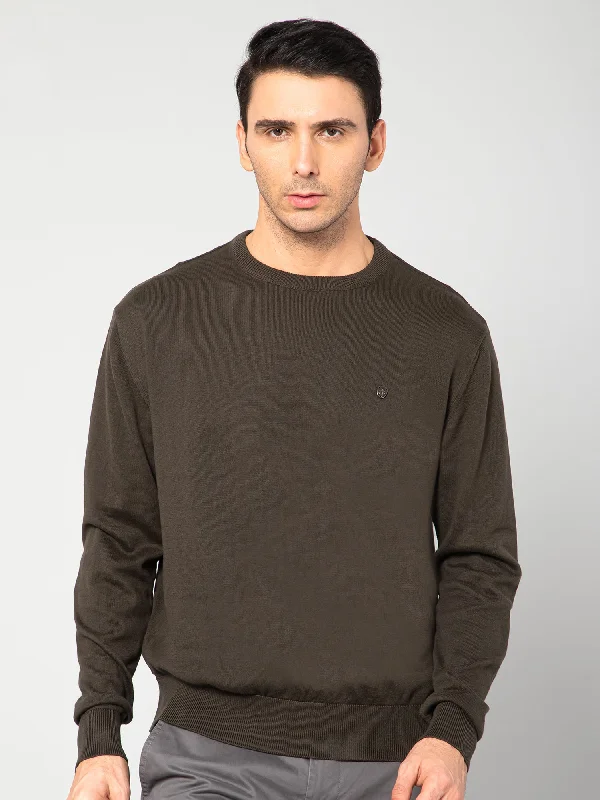 Men Olive Sweater